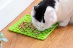 Genia Vetopop Lick Pad -KONG Shop Pop Lickpad CAT01