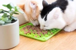 Genia Vetopop Lick Pad -KONG Shop Pop Lickpad CATS01