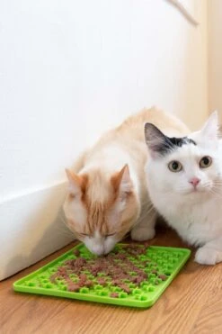 Genia Vetopop Lick Pad -KONG Shop Pop Lickpad CATS02