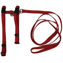 Prestige Adjustable Cat/Puppy Harness With Leash 3/8" -KONG Shop PrestigeADJUSTABLECAT PUPPY3 8 HARNESSw LEASHRed