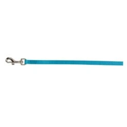 Prestige Cat & Puppy Leash 3/8" X 4' (122cm) -KONG Shop PrestigeCAT PUPPYLEASH3 8 x4 Turquoise