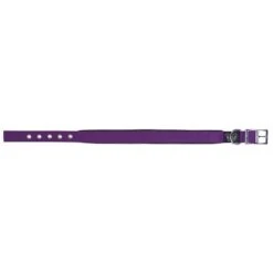 Prestige Soft Padded Collar 1" X 20" (51cm) -KONG Shop PrestigeSOFTPADDEDCOLLAR1 x20 Purple1