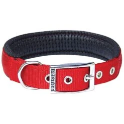 Prestige Soft Padded Collar 1" X 20" (51cm) -KONG Shop PrestigeSOFTPADDEDCOLLAR1 x20 Red