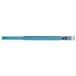 Prestige Soft Padded Collar 1" X 20" (51cm) -KONG Shop PrestigeSOFTPADDEDCOLLAR1 x20 Turquoise1