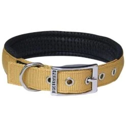 Prestige Soft Padded Collar 1" X 22" (56cm) 26 Prestige Soft Padded Collar 1" X 22" (56cm) -KONG Shop PrestigeSOFTPADDEDCOLLAR1 x22 Gold