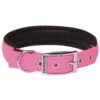 Prestige Soft Padded Collar 1" X 26" Hot Pink