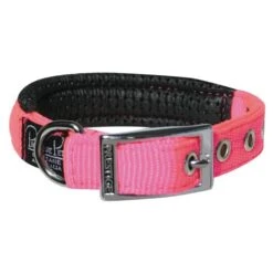 Prestige Soft Padded Collar 3/4" X 14" (36cm) -KONG Shop PrestigeSOFTPADDEDCOLLAR3 4 x14 HotPink1