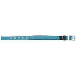 Prestige Soft Padded Collar 3/4" X 14" (36cm) -KONG Shop PrestigeSOFTPADDEDCOLLAR3 4 x14 Turquoise