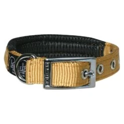 Prestige Soft Padded Collar 3/4" X 16" -KONG Shop PrestigeSOFTPADDEDCOLLAR3 4 x16 Gold