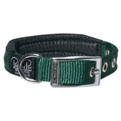 Prestige Soft Padded Collar 3/4" X 16" -KONG Shop PrestigeSOFTPADDEDCOLLAR3 4 x16 HunterGreen