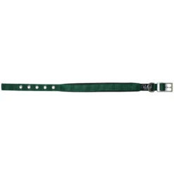 Prestige Soft Padded Collar 3/4" X 16" -KONG Shop PrestigeSOFTPADDEDCOLLAR3 4 x16 HunterGreen1
