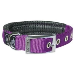 Prestige Soft Padded Collar 3/4" X 16" -KONG Shop PrestigeSOFTPADDEDCOLLAR3 4 x16 Purple
