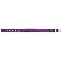 Prestige Soft Padded Collar 3/4" X 16" -KONG Shop PrestigeSOFTPADDEDCOLLAR3 4 x16 Purple1