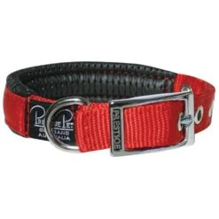 Prestige Soft Padded Collar 3/4" X 16" -KONG Shop PrestigeSOFTPADDEDCOLLAR3 4 x16 Red