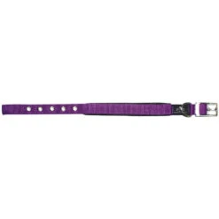 Prestige Soft Padded Collar 3/4" X 18" (46cm) -KONG Shop PrestigeSOFTPADDEDCOLLAR3 4 x18 Purple