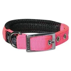 Prestige Soft Padded Collar 3/4" X 20" (51cm) -KONG Shop PrestigeSOFTPADDEDCOLLAR3 4 x20 HotPink