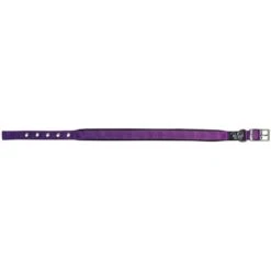 Prestige Soft Padded Collar 3/4" X 20" (51cm) -KONG Shop PrestigeSOFTPADDEDCOLLAR3 4 x20 Purple1