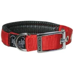 Prestige Soft Padded Collar 3/4" X 20" (51cm) -KONG Shop PrestigeSOFTPADDEDCOLLAR3 4 x20 Red