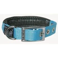 Prestige Soft Padded Collar 3/4" X 20" (51cm) -KONG Shop PrestigeSOFTPADDEDCOLLAR3 4 x20 Turquoise