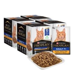 Purina Pro Plan Adult Cat Wet Food 7+ Chicken In Gravy 85g -KONG Shop PurinaProPlanAdultCatWetFood7 ChickeninGravy85g48Pouch 150f7d8d 5d2d 4485 9eb2 53aadc29dd61