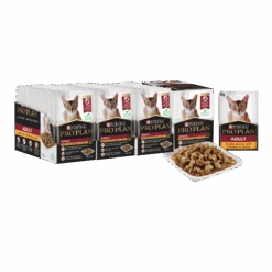 Purina Pro Plan Adult Cat Wet Food Chicken In Gravy 85g Pouches -KONG Shop PurinaProPlanAdultCatWetFoodChickeninGravy85g