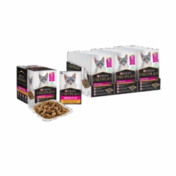 Purina Pro Plan Sensitive Chicken Adult Cat Wet Food Gravy 85g Pouches -KONG Shop PurinaProPlanAdultCatWetFoodSensitiveChickeninGravy85g