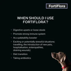 Purina Pro Plan Veterinary Fortiflora Canine 1g Sachets -KONG Shop PurinaProPlanVeterinaryFortifloraCanine1gSachets3