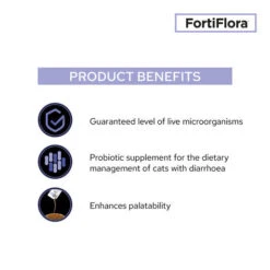 Purina Pro Plan Veterinary Fortiflora Feline 1g Sachets -KONG Shop PurinaProPlanVeterinaryFortifloraFeline1gSachets4