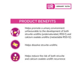 Purina Pro Plan Veterinary Diet Feline UR Urinary St/Ox 156g Cans -KONG Shop Purina Pro Plan Veterinary Diet Feline UR Urinary St Ox 2