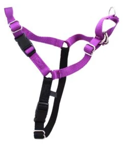 Gentle Leader Harness Petite -KONG Shop Purpleharness 2966f484 ac1f 45f9 b6ab 1ecf94ed4161