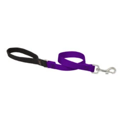 LupinePet Purple Basic Solids Dog Leash