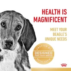 Royal Canin Beagle Breed Adult Dog Dry Food -KONG Shop RC BHN DRY BeagleAD 2106 Page 3