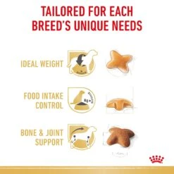 Royal Canin Beagle Breed Adult Dog Dry Food -KONG Shop RC BHN DRY BeagleAD 2106 Page 4