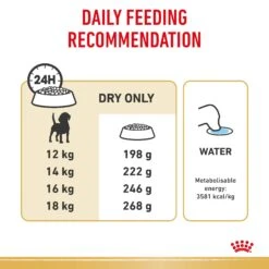 Royal Canin Beagle Breed Adult Dog Dry Food -KONG Shop RC BHN DRY BeagleAD 2106 Page 6