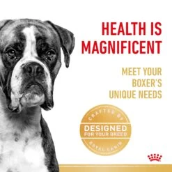 Royal Canin Boxer Breed Adult Dog Dry Food -KONG Shop RC BHN DRY BoxerAD 2588 Page 3