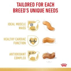 Royal Canin Boxer Breed Adult Dog Dry Food -KONG Shop RC BHN DRY BoxerAD 2588 Page 4