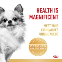 Royal Canin Chihuahua Breed Adult Dog Dry Food -KONG Shop RC BHN DRY ChihuahuaAD 2210 Page 3 1