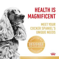 Royal Canin Cocker Spaniel Breed Adult Dog Dry Food -KONG Shop RC BHN DRY CockerAD 3969 Page 3 1
