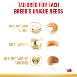 Royal Canin Cocker Spaniel Breed Adult Dog Dry Food -KONG Shop RC BHN DRY CockerAD 3969 Page 4 1