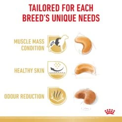 Royal Canin French Bulldog Breed Adult Dry Dog Food -KONG Shop RC BHN DRY FrBulldogAD 3991 Page 4