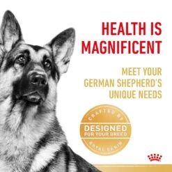 Royal Canin German Shepherd Breed Adult Dry Dog Food -KONG Shop RC BHN DRY GermanShepAD 2518 Page 3