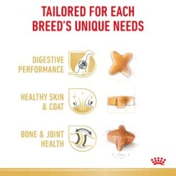 Royal Canin German Shepherd Breed Adult Dry Dog Food -KONG Shop RC BHN DRY GermanShepAD 2518 Page 4