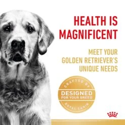 Royal Canin Golden Retriever Breed Adult Dry Dog Food -KONG Shop RC BHN DRY GoldenRetAD 3970 Page 3