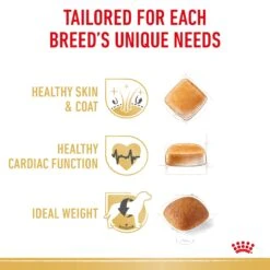 Royal Canin Golden Retriever Breed Adult Dry Dog Food -KONG Shop RC BHN DRY GoldenRetAD 3970 Page 4