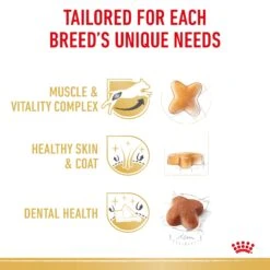 Royal Canin Jack Russell Terrier Breed Adult Dry Dog Food -KONG Shop RC BHN DRY JackRussellAD 2100 Page 4