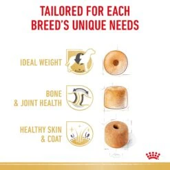 Royal Canin Labrador Retriever Breed Adult Dry Dog Food -KONG Shop RC BHN DRY LabRetAD 2487 Page 4