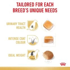 Royal Canin Miniature Schnauzer Breed Adult Dog Dry Food -KONG Shop RC BHN DRY MiniSchnauzerAD 2220 Page 4 1 1