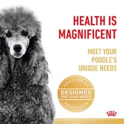 Royal Canin Poodle Breed Adult Dog Dry Food -KONG Shop RC BHN DRY PoodleAD 3057 Page 3