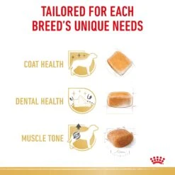 Royal Canin Poodle Breed Adult Dog Dry Food -KONG Shop RC BHN DRY PoodleAD 3057 Page 4