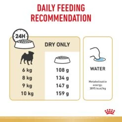 Royal Canin Pug Breed Adult Dog Dry Food -KONG Shop RC BHN DRY PugAD 3985 Page 6
